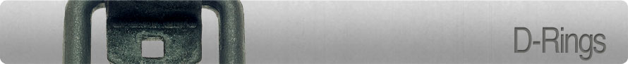 D-Rings
